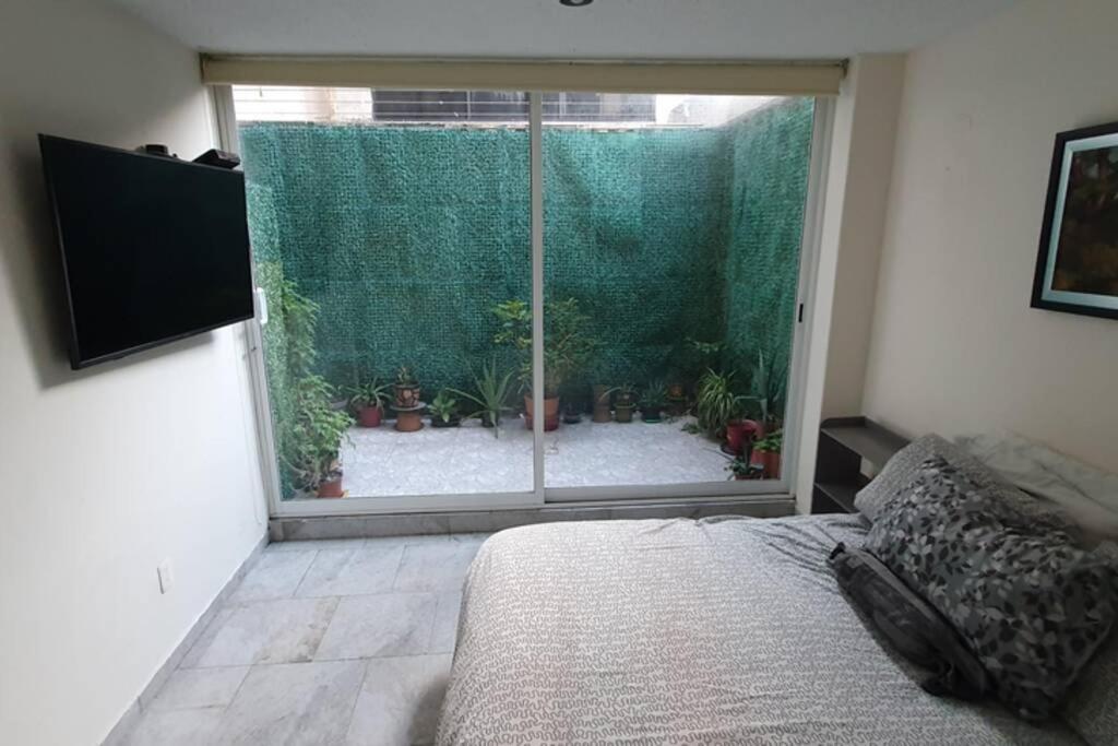 Tabasco Apartman Mexikóváros Kültér fotó
